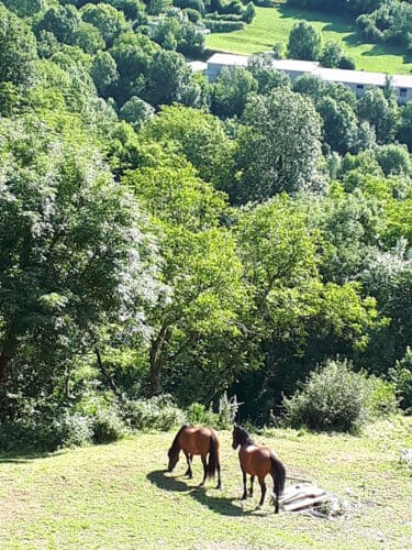 Excursión-a-Broto-caballos-en-Torla-Huesca-pirineo-afragonés