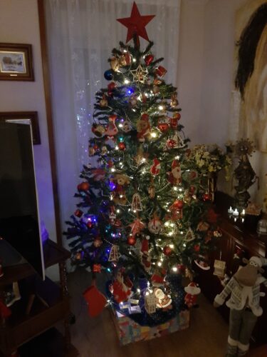 árbol-Navidad-San-Bonifacio-marcosplanet